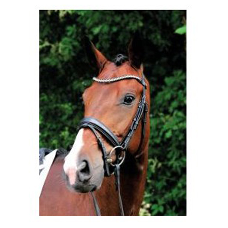 oglowie-magic-tack-stubben