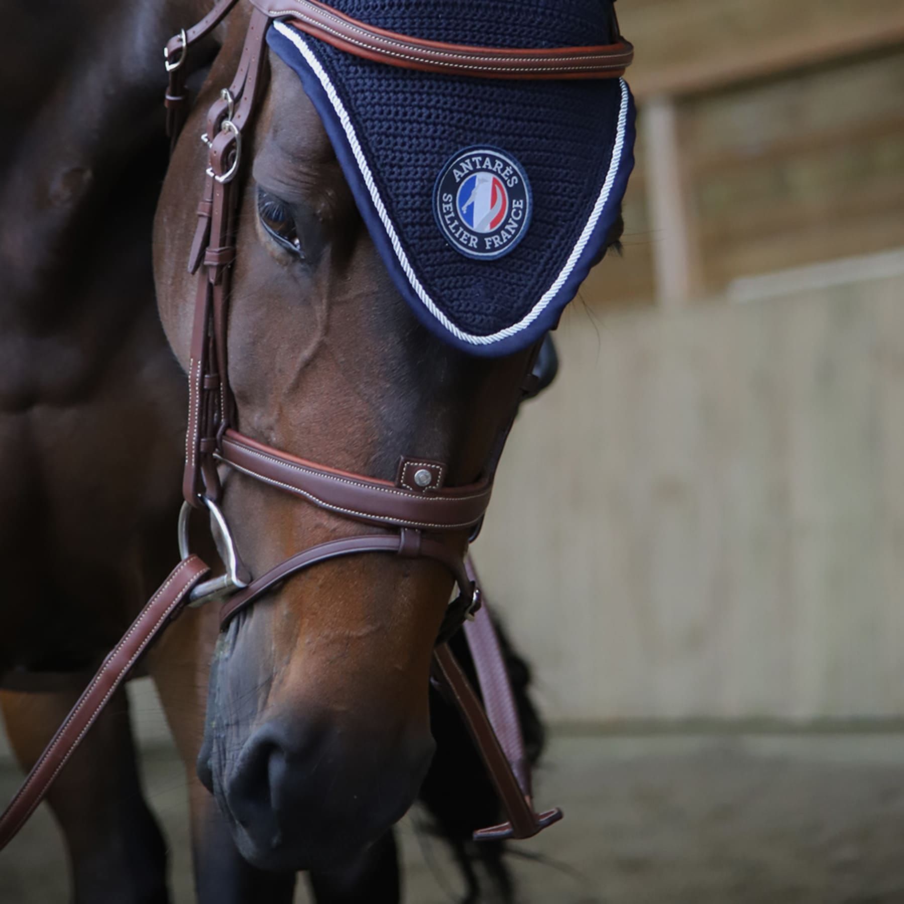 flash-origin-bridle-1