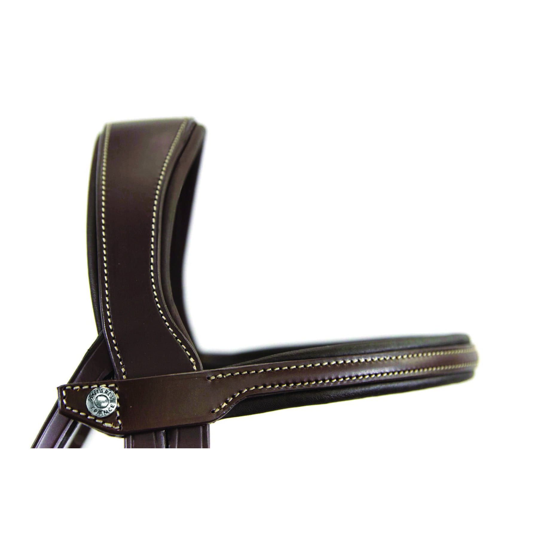 flash-origin-bridle-2