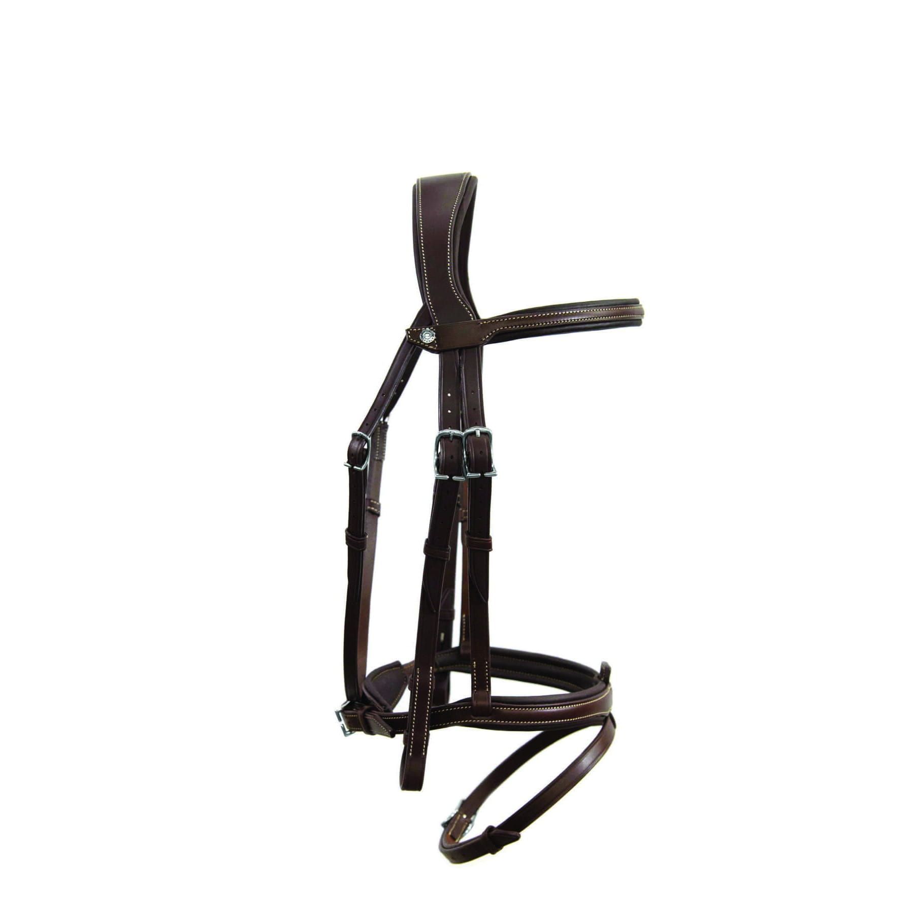 flash-origin-bridle